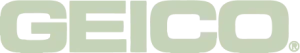 geico [Vectorized] (4)
